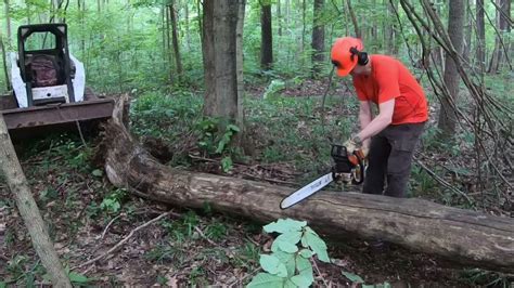 skid steer rental dunnville|stihl chainsaw dunnville ontario.